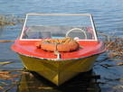 Човни моторні, ціна 350 Грн., Фото