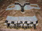 Жіночий одяг Маскарадні костюми і маски, ціна 700 Грн., Фото