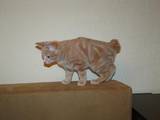Кошки, котята Курильский бобтейл, цена 200 Грн., Фото