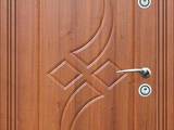 Двери, замки, ручки,  Двери, дверные узлы Наружные, входные, цена 2700 Грн., Фото