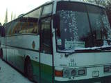 Автобуси, ціна 291600 Грн., Фото
