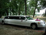 Оренда транспорту Для весілль і торжеств, ціна 400 Грн., Фото