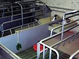 Животноводство Оборудование для  свиных ферм, цена 96 Грн., Фото