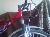 Велосипеды Горные, цена 800 Грн., Фото