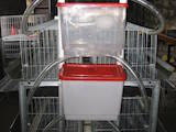 Птицеводство Оборудование для птичьих ферм, цена 3585 Грн., Фото