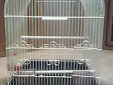 Папуги й птахи Клітки та аксесуари, ціна 200 Грн., Фото