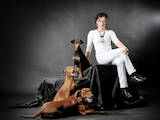 Собаки, щенята Пінчер, ціна 1000 Грн., Фото