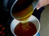 Продовольствие Мёд, цена 55 Грн./л., Фото