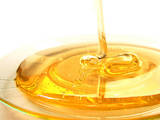 Продовольствие Мёд, цена 23 Грн./кг., Фото