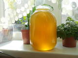 Продовольствие Мёд, цена 18 Грн./кг., Фото