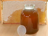 Продовольство Мед, ціна 40 Грн./л., Фото