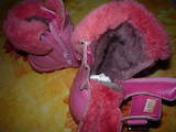 Детская одежда, обувь Сапоги, цена 220 Грн., Фото