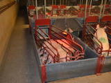 Тваринництво Обладнання для свинячих ферм, ціна 50000 Грн., Фото