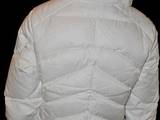 Жіночий одяг Куртки, ціна 1450 Грн., Фото