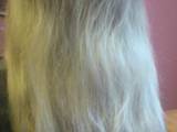 Краса, зовнішній вигляд,  Волосся Нарощування волосся, Фото