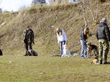 Собаки, щенки Занятия, тренировки, цена 50 Грн., Фото