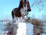 Собаки, щенята Бассет, ціна 500 Грн., Фото