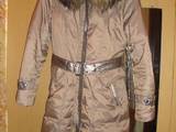 Женская одежда Пуховики, цена 750 Грн., Фото