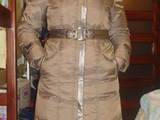 Жіночий одяг Пуховики, ціна 750 Грн., Фото