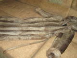 Женская одежда Шубы, цена 6000 Грн., Фото