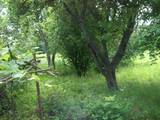 Дачи и огороды Полтавская область, цена 50000 Грн., Фото