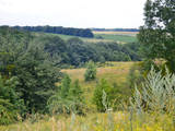 Дачи и огороды Киевская область, цена 70000 Грн., Фото