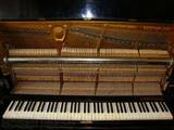 Музика,  Музичні інструменти Клавішні, ціна 6500 Грн., Фото