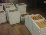 Продовольство Кондитерські вироби, ціна 20 Грн./кг., Фото