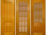 Строительные работы,  Окна, двери, лестницы, ограды Двери, цена 1800 Грн., Фото