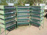 Птицеводство Оборудование для птичьих ферм, цена 1600 Грн., Фото