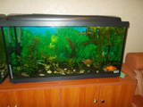 Рыбки, аквариумы Аквариумы и оборудование, цена 4500 Грн., Фото