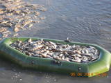 Охота, рыбалка Места для рыбалки, цена 50 Грн., Фото