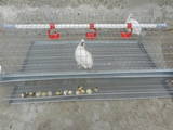 Птицеводство Оборудование для птичьих ферм, цена 350 Грн., Фото