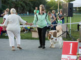 Собаки, щенята Спаровування, ціна 1000 Грн., Фото