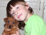 Собаки, щенки Карликовый пинчер, цена 3500 Грн., Фото
