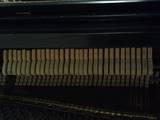 Музика,  Музичні інструменти Клавішні, ціна 1200 Грн., Фото