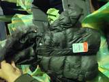 Детская одежда, обувь Пальто, цена 6660 Грн., Фото