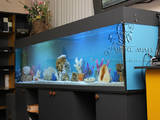 Рыбки, аквариумы Аквариумы и оборудование, цена 500 Грн., Фото