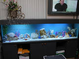 Рыбки, аквариумы Аквариумы и оборудование, цена 500 Грн., Фото