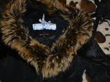 Женская одежда Куртки, цена 2500 Грн., Фото