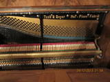 Музыка,  Музыкальные инструменты Клавишные, цена 15000 Грн., Фото