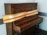 Музика,  Музичні інструменти Клавішні, ціна 200 Грн., Фото