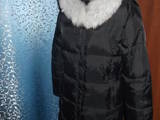 Женская одежда Пуховики, цена 400 Грн., Фото