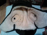 Мужская одежда Шапки, кепки, цена 350 Грн., Фото