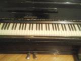 Музика,  Музичні інструменти Клавішні, ціна 33000 Грн., Фото