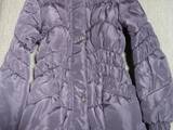 Женская одежда Куртки, цена 320 Грн., Фото