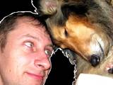 Собаки, щенята Довгошерстий коллі, ціна 3000 Грн., Фото