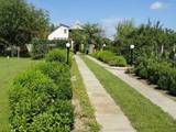 Дачи и огороды Киевская область, цена 3900000 Грн., Фото
