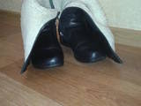 Обувь,  Женская обувь Сапоги, цена 500 Грн., Фото
