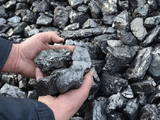 Дрова, брикеты, гранулы Уголь, цена 3500 Грн., Фото